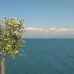 Lejlighed Linamare Eolos