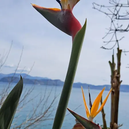 아파트 Linamare Eolos Kivérion