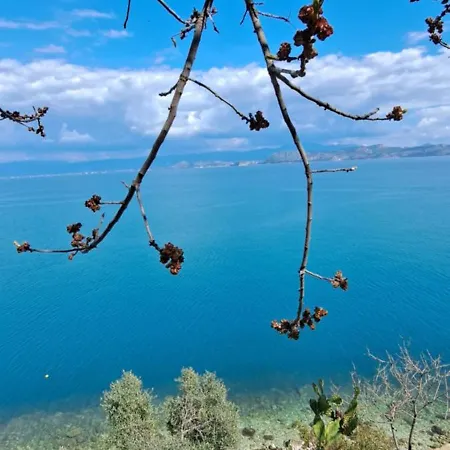 Linamare Eolos * Kivérion