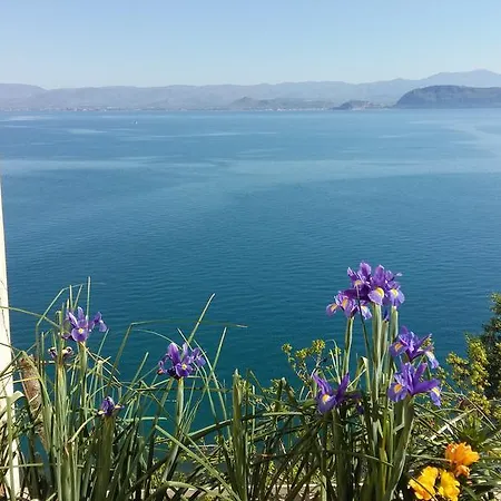 Linamare Eolos *