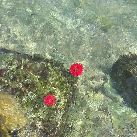 Linamare Eolos * Kivérion