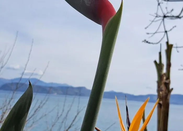 Apartman Linamare Eolos Kivéri